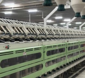 photo_6161371173460053287_y