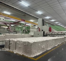 photo_6161371173460053288_y