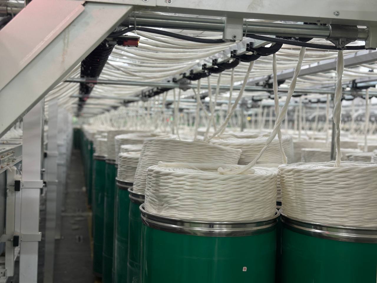 photo_6161371173460053289_y