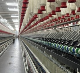 photo_6161371173460053290_y