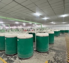 photo_6161371173460053292_y