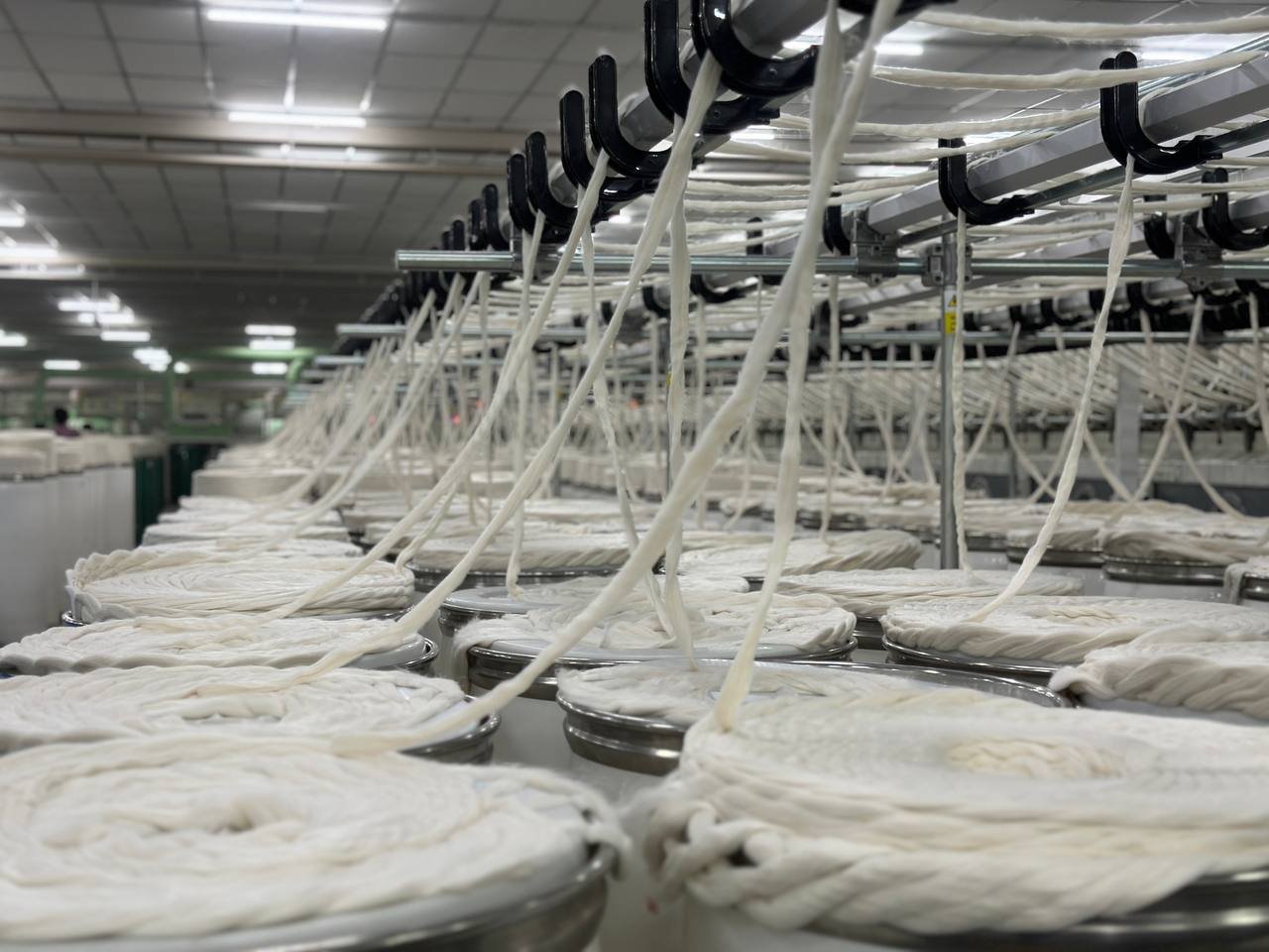 photo_6179029605080043257_y