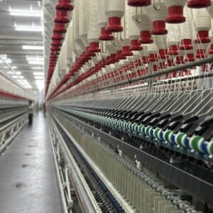 photo_6179029605080043263_y