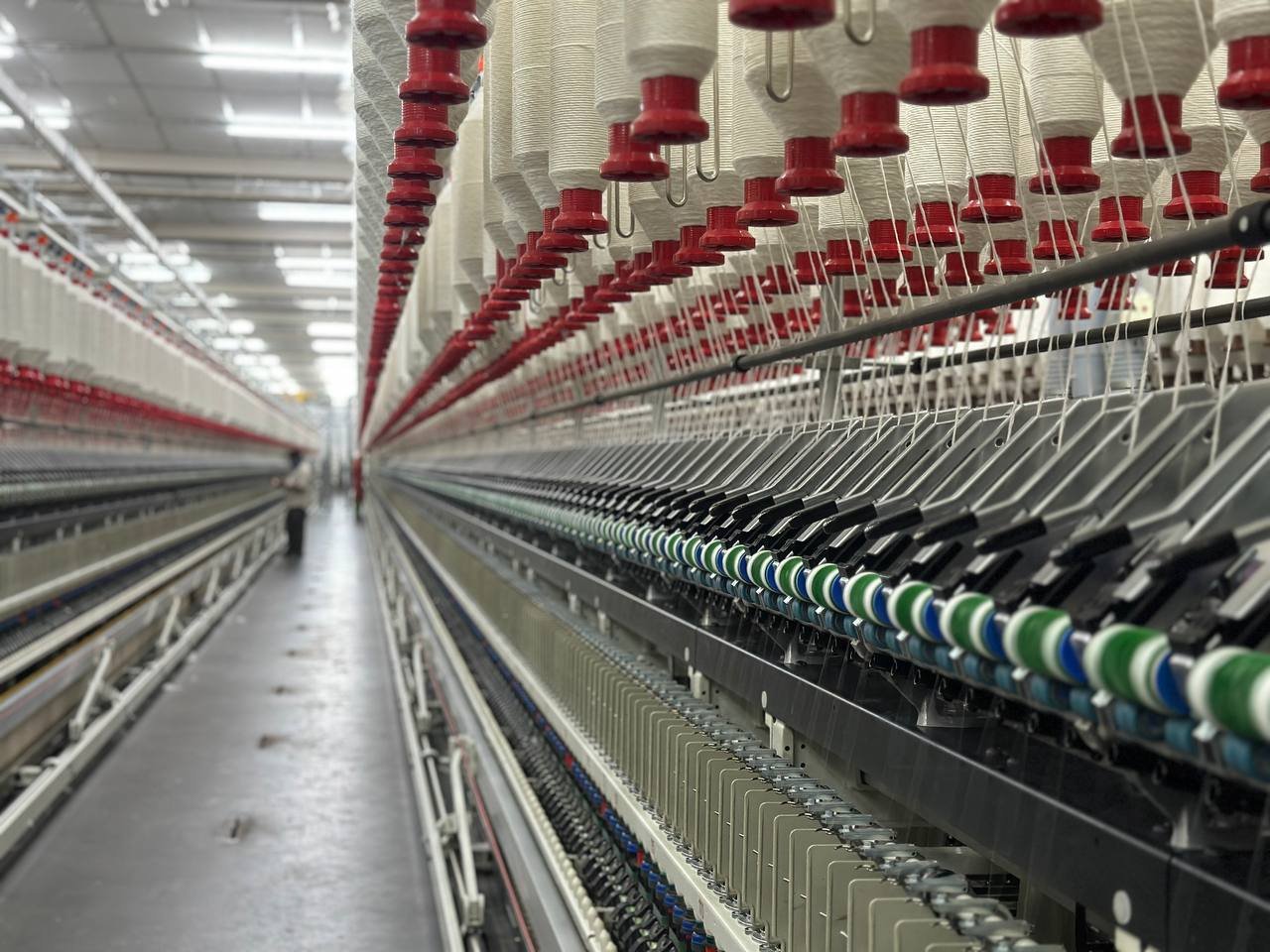 photo_6179029605080043263_y