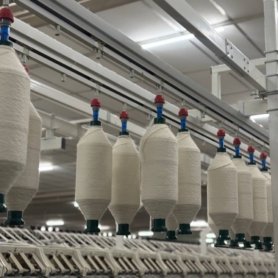 photo_6179029605080043267_y