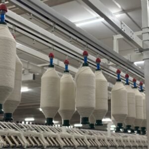 photo_6179029605080043267_y