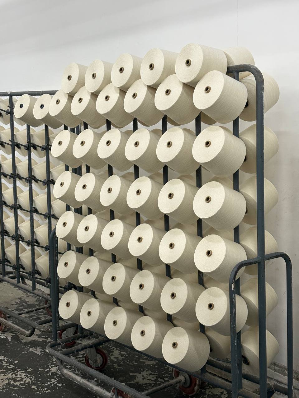 photo_6179029605080043268_y