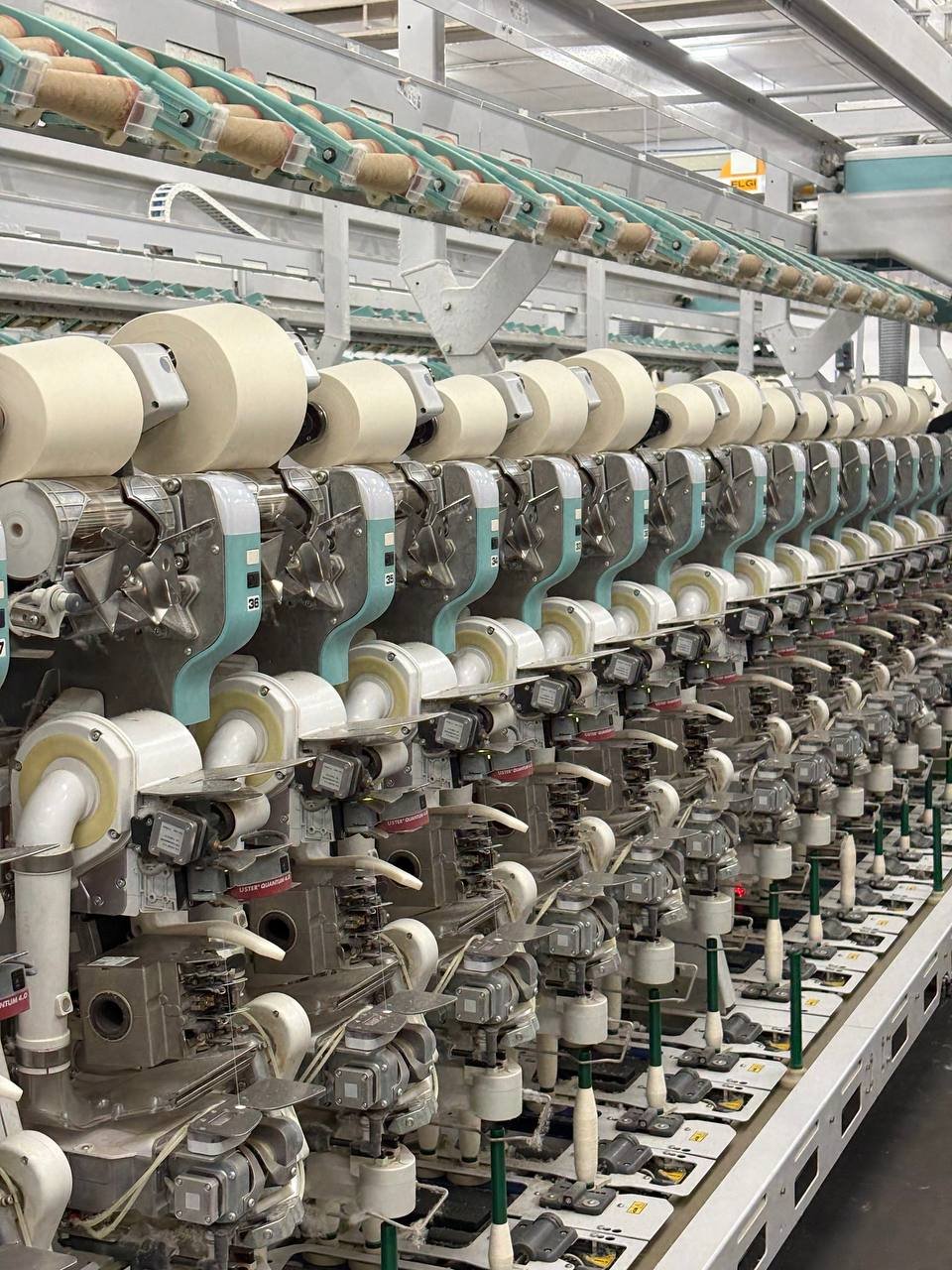 photo_6179029605080043269_y